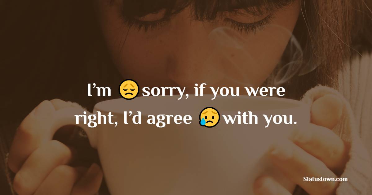 I’m sorry, if you were right, I’d agree with you. - Apology Status