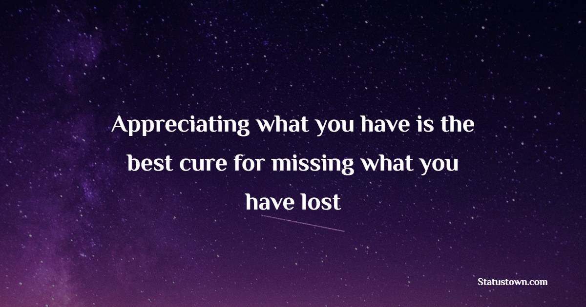 Appreciating what you have is the best cure for missing what you have lost