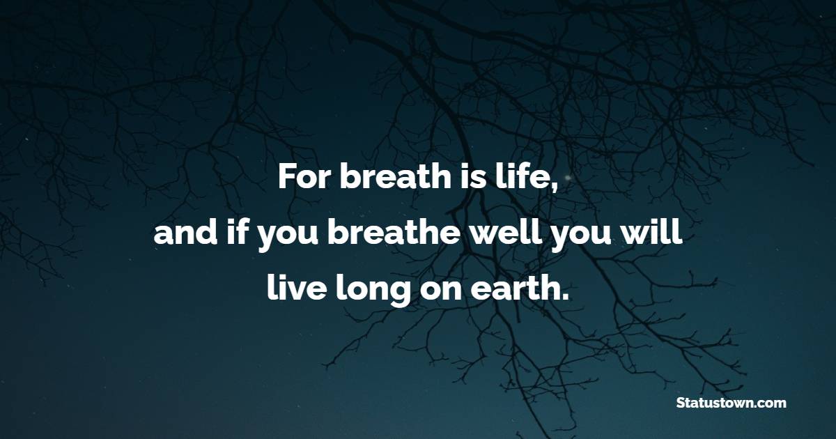For breath is life, and if you breathe well you will live long on earth.
