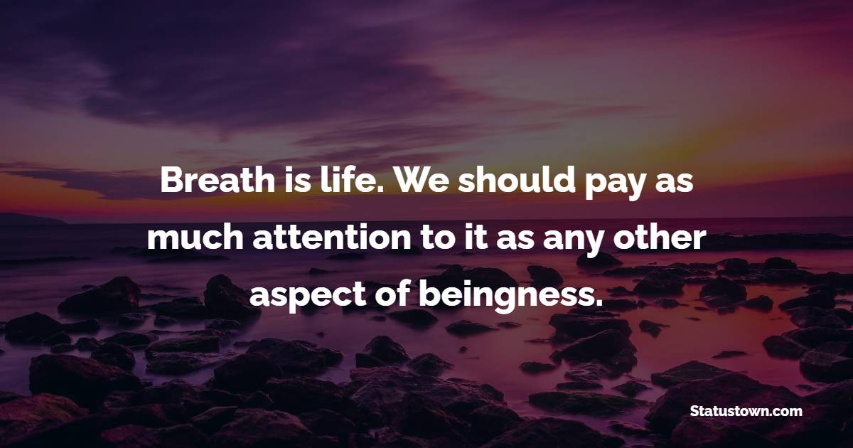 Breath Is Life We Should Pay As Much Attention To It As Any Other Aspect Of Beingness