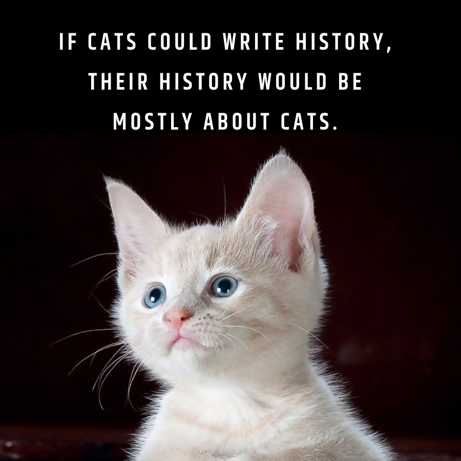 If cats could write history, their history would be mostly about cats. - cat Quotes