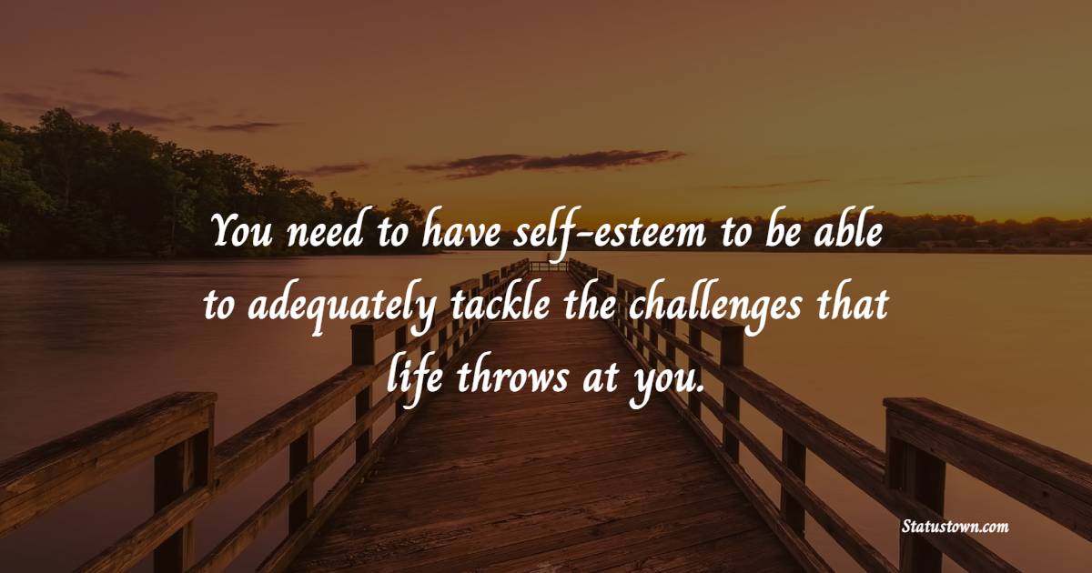 You need to have self-esteem to be able to adequately tackle the challenges that life throws at you. - Challenge Quotes