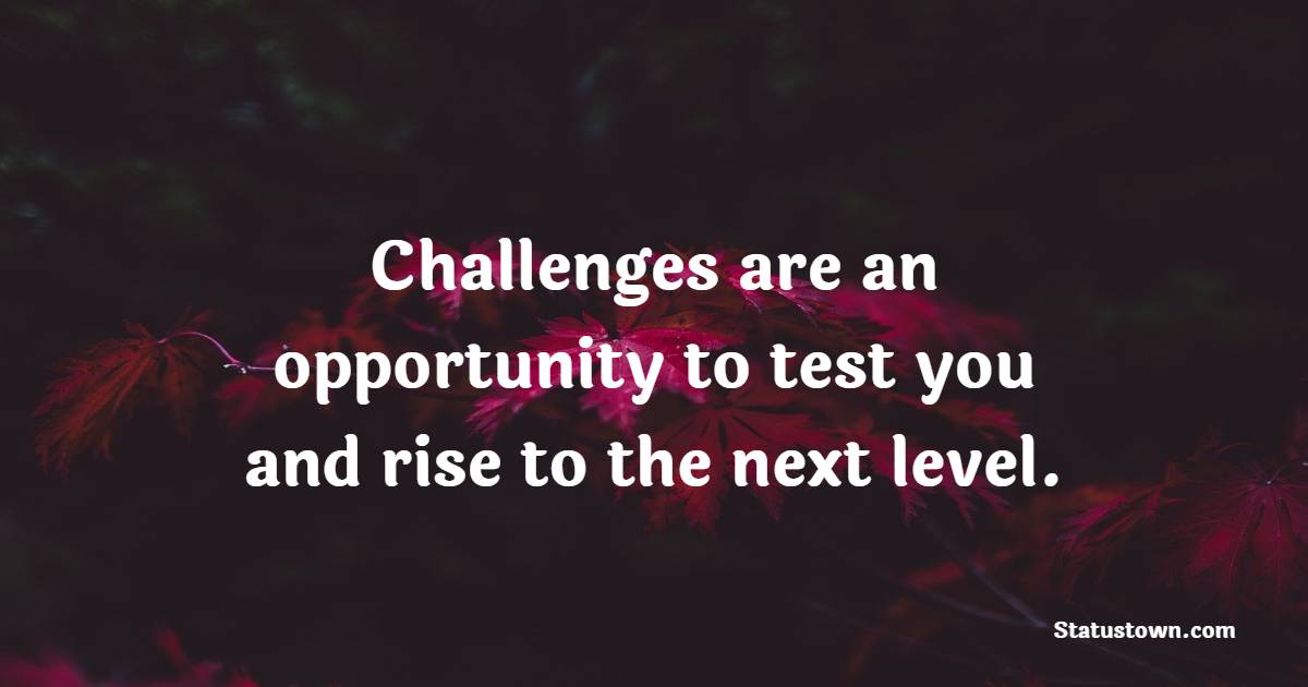 Challenges are an opportunity to test you and rise to the next level ...