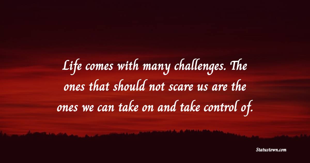Life comes with many challenges. The ones that should not scare us are the ones we can take on and take control of. - Challenge Quotes 