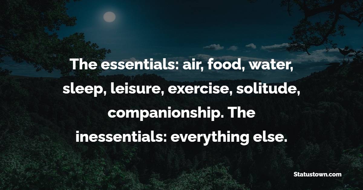 The essentials: air, food, water, sleep, leisure, exercise, solitude, companionship. The inessentials: everything else.