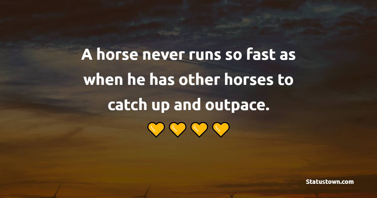 A horse never runs so fast as when he has other horses to catch up and outpace. - Competition Quotes