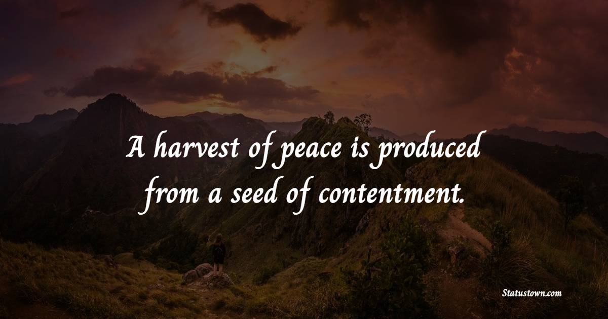 A harvest of peace is produced from a seed of contentment.