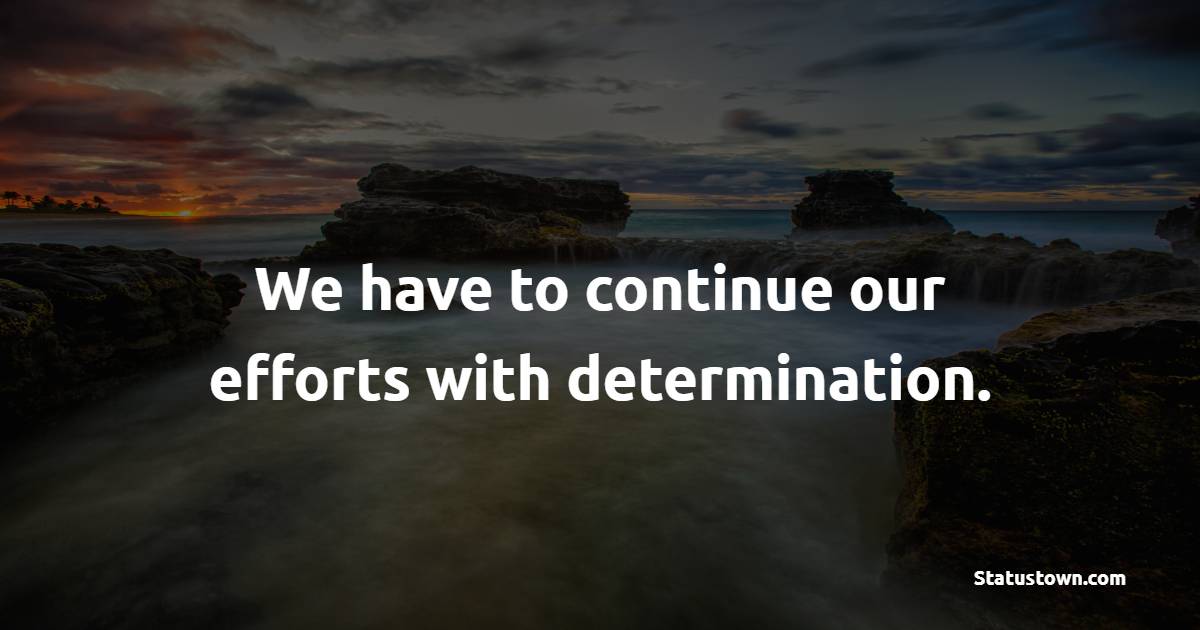 We have to continue our efforts with determination.