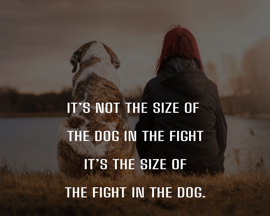 It’s not the size of the dog in the fight, it’s the size of the fight in the dog. - Dog Quotes