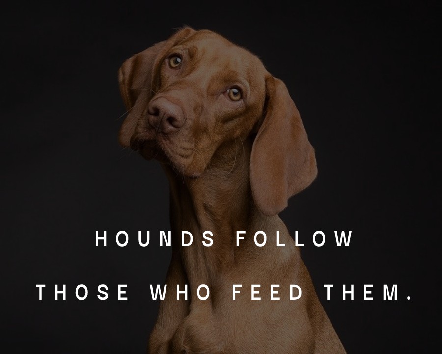 Hounds follow those who feed them. - Dog Quotes