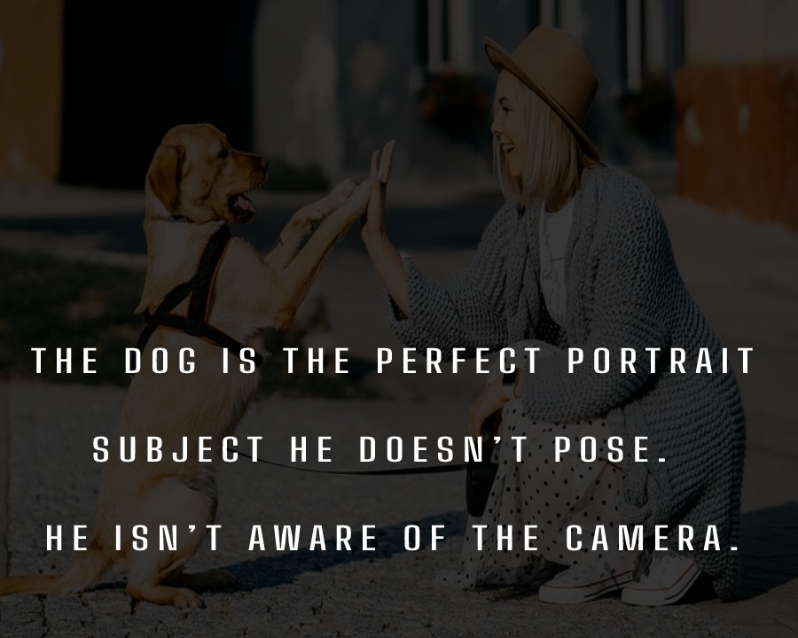 The dog is the perfect portrait subject. He doesn’t pose. He isn’t aware of the camera. - Dog Quotes