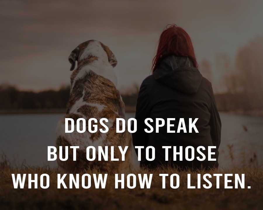 Dogs do speak, but only to those who know how to listen. - Dog Quotes