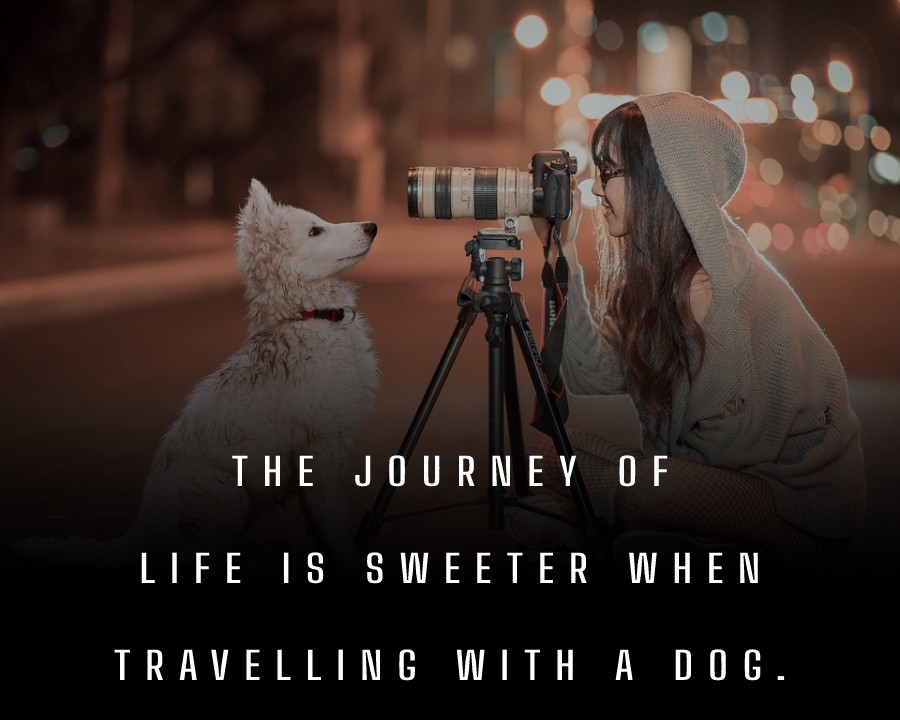 The journey of life is sweeter when travelling with a dog. - Dog Quotes