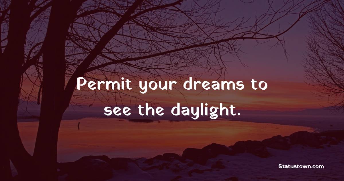 Permit your dreams to see the daylight. - Dream Quotes 