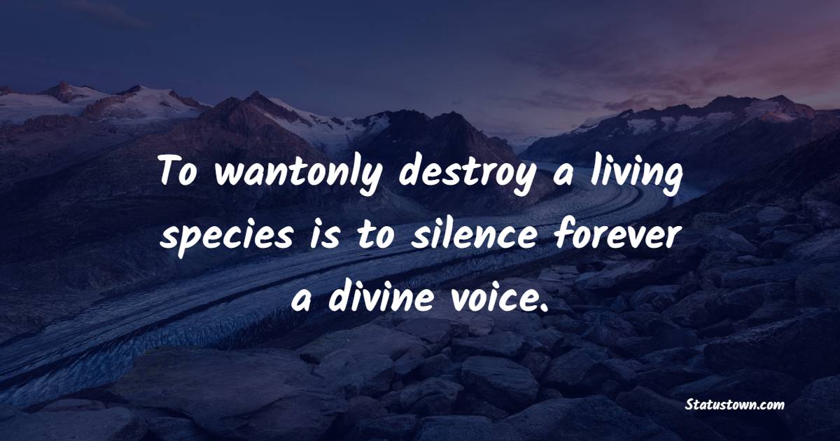to wantonly destroy a living species is to silence forever a divine voice.