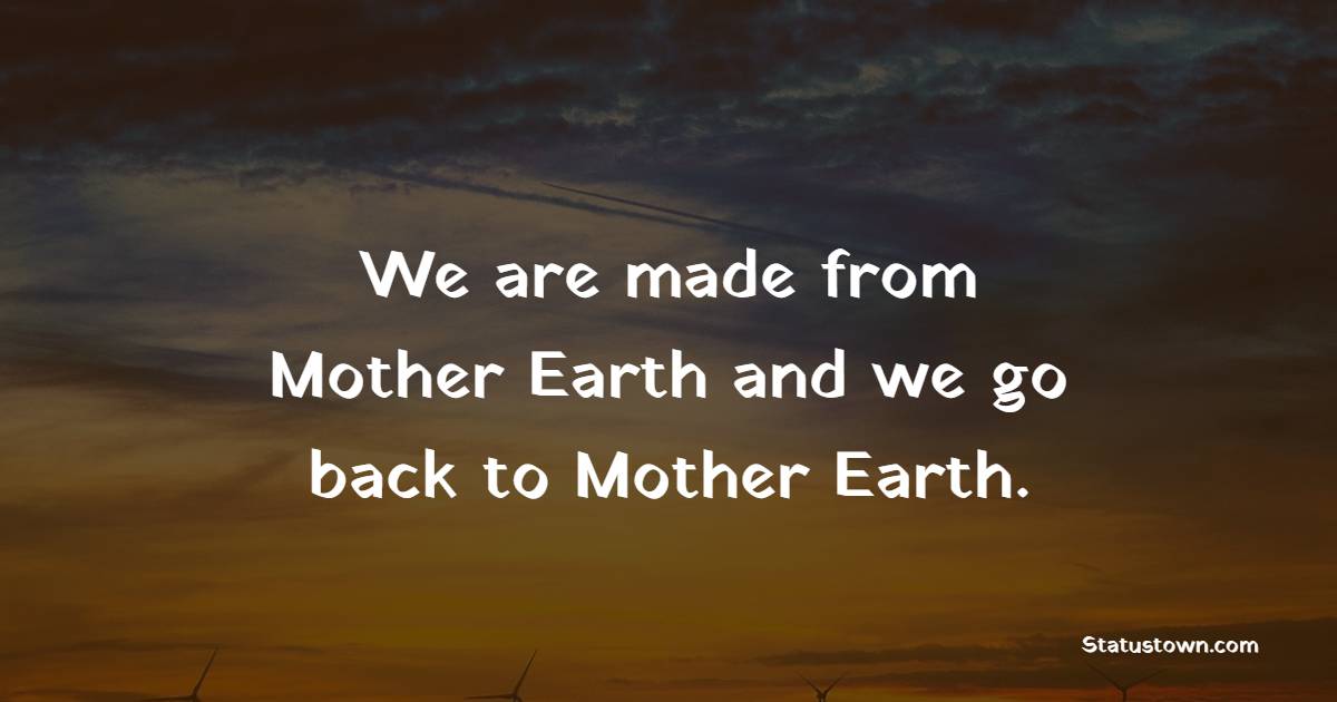 We are made from Mother Earth and we go back to Mother Earth. - Earth Quotes