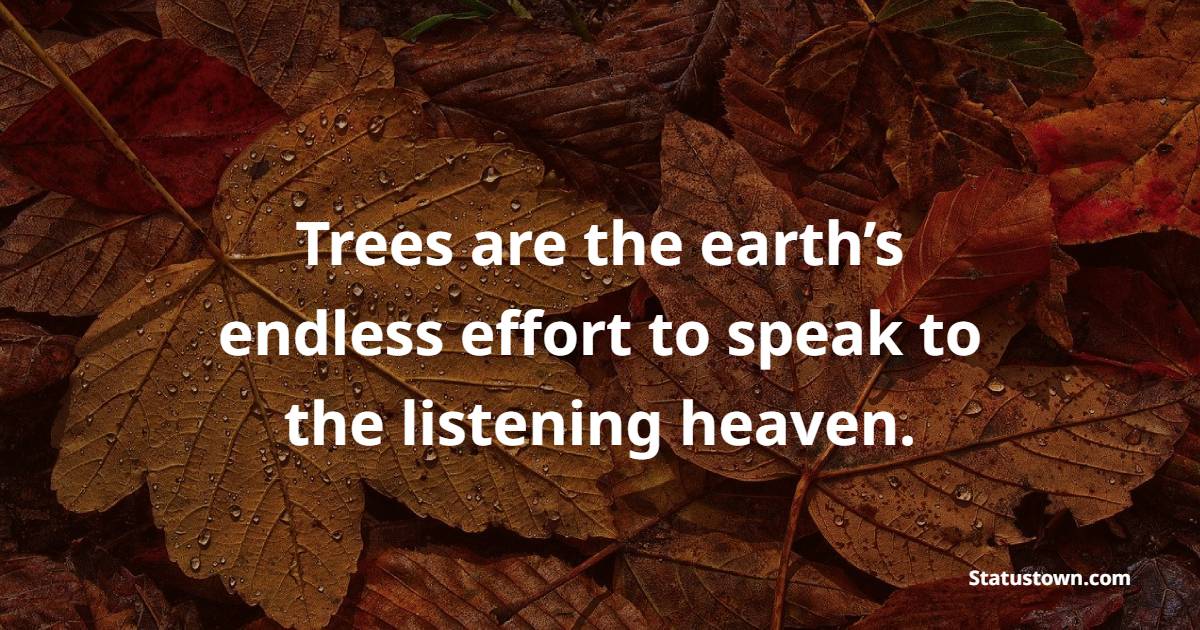 Trees are the earth’s endless effort to speak to the listening heaven.