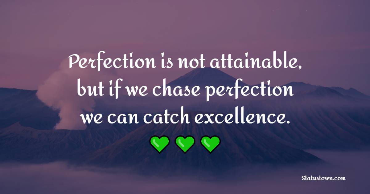 Perfection is not attainable, but if we chase perfection we can catch excellence. - Excellence Quotes