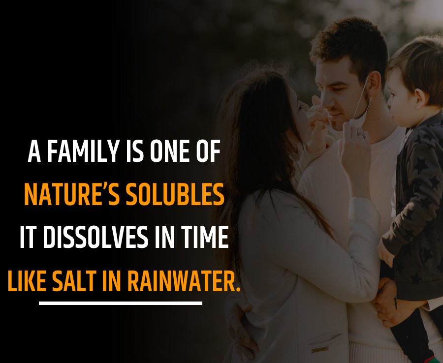 A family is one of nature’s solubles; it dissolves in time like salt in rainwater. - Family Quotes