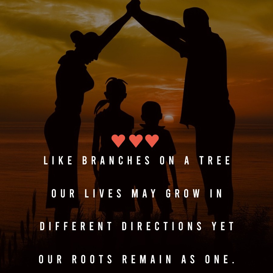 Like branches on a tree, our lives may grow in different directions yet ...