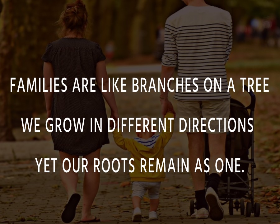 Families are like branches on a tree. We grow in different directions yet our roots remain as one. - Family Quotes