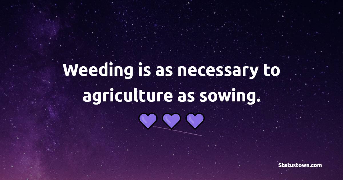 Weeding is as necessary to agriculture as sowing. - Farmer Quotes