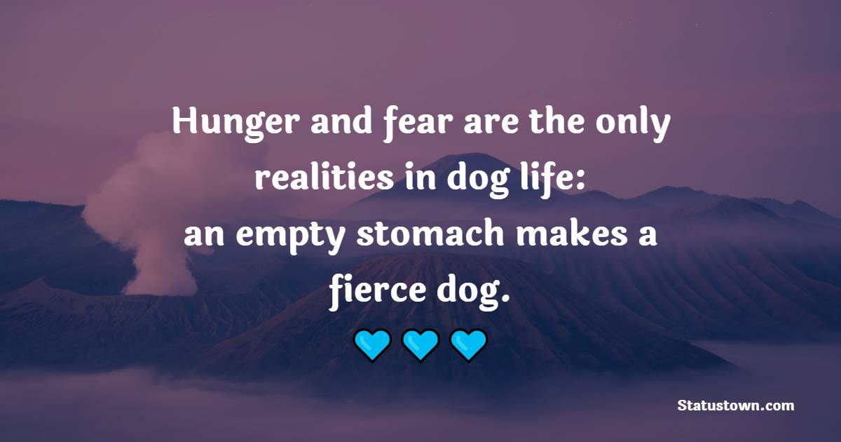 Hunger and fear are the only realities in dog life: an empty stomach makes a fierce dog.