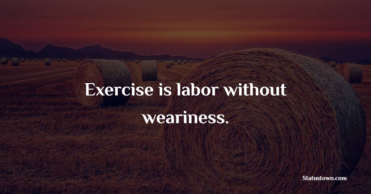 Exercise is labor without weariness. - Fitness Quotes