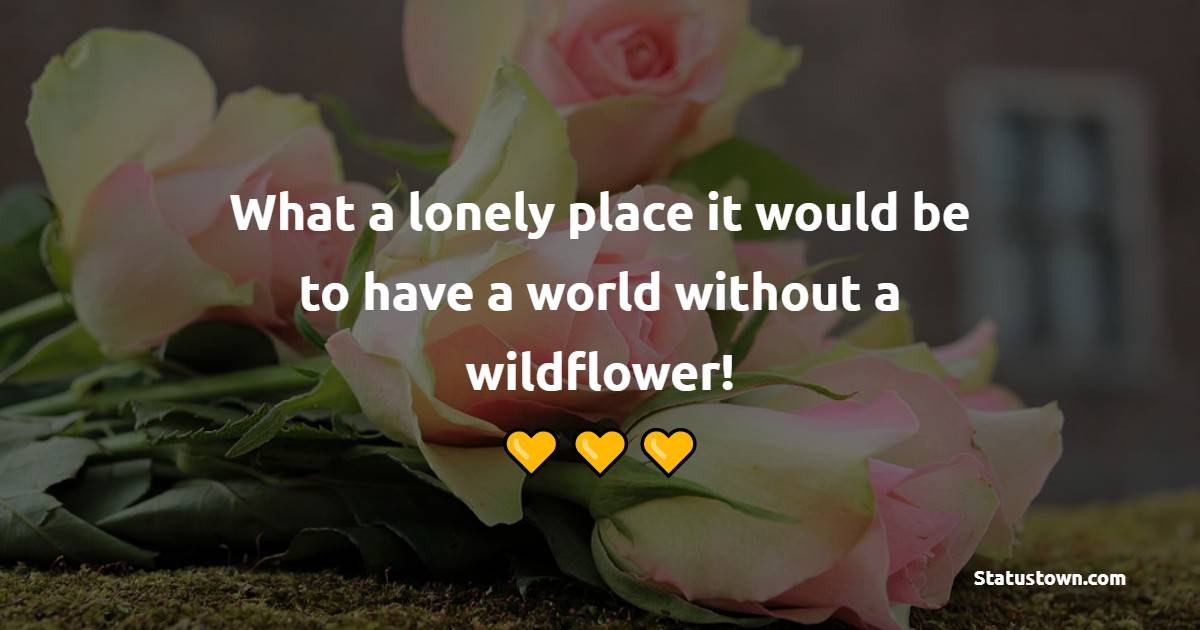 What a lonely place it would be to have a world without a wildflower! - Flower Quotes