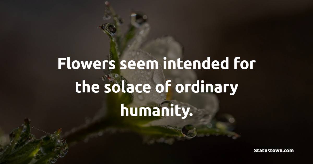 Flowers seem intended for the solace of ordinary humanity. - Flower Quotes