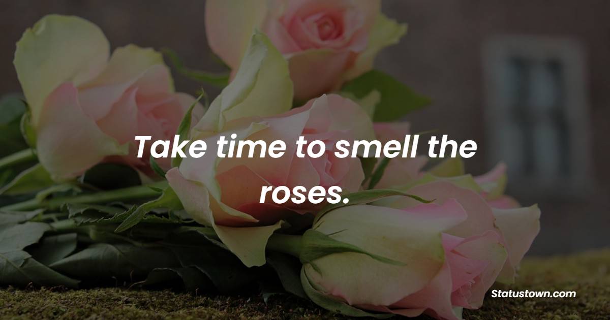 Take time to smell the roses. - Flower Quotes