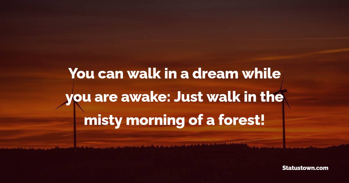 You can walk in a dream while you are awake: Just walk in the misty morning of a forest! - Forest Quotes
