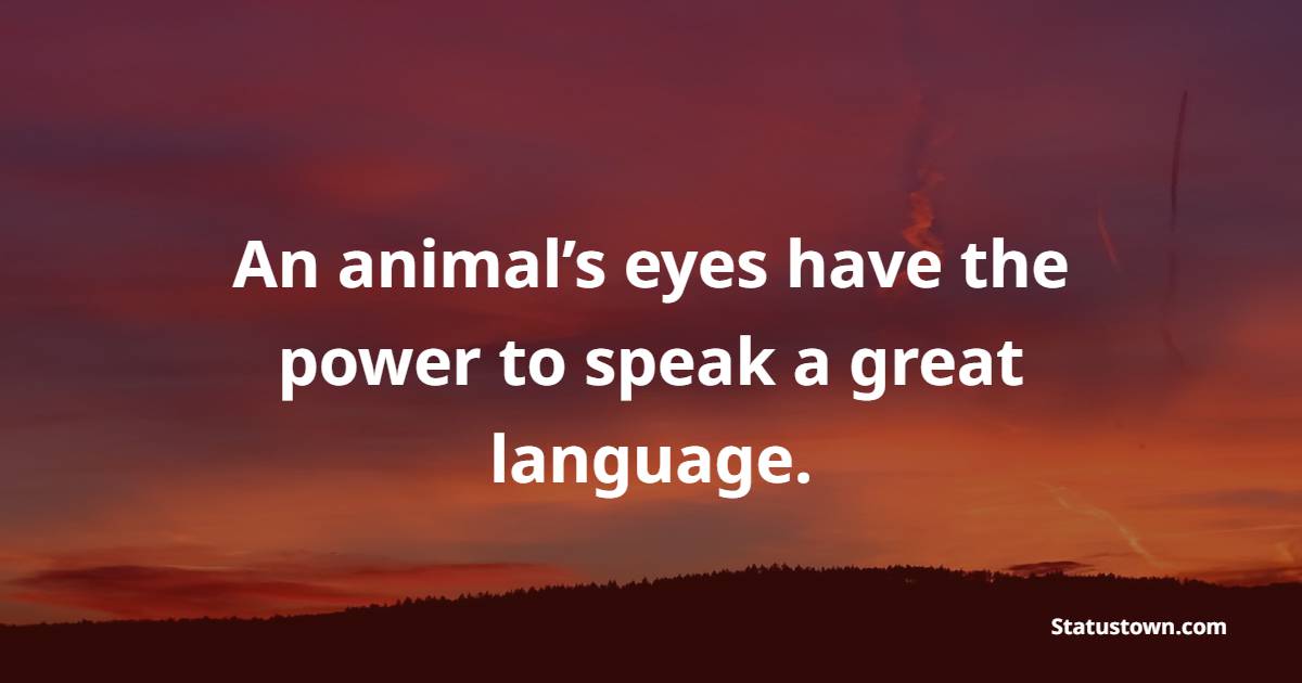 An animal’s eyes have the power to speak a great language. - Forest Quotes