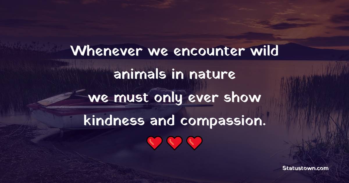 Whenever we encounter wild animals in nature, we must only ever show kindness and compassion. - Forest Quotes