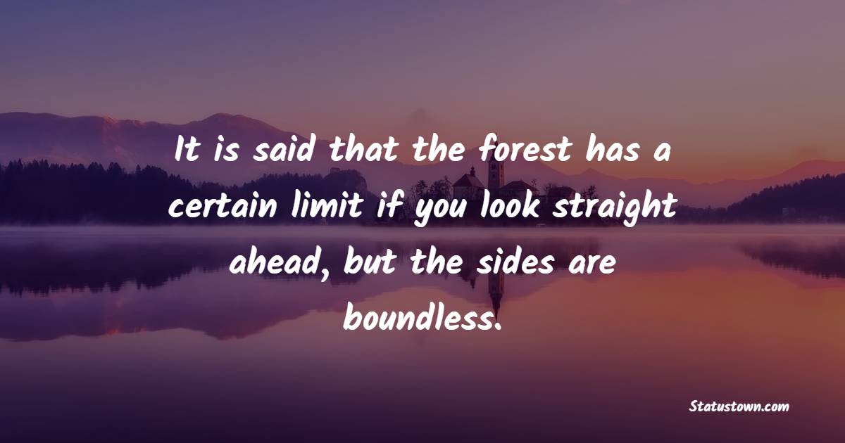 It is said that the forest has a certain limit if you look straight ahead, but the sides are boundless. - Forest Quotes