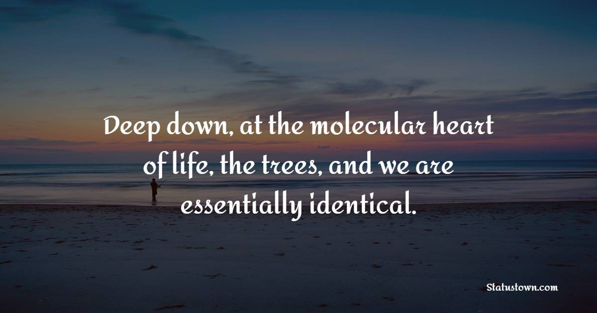 Deep down, at the molecular heart of life, the trees, and we are essentially identical. - Forest Quotes