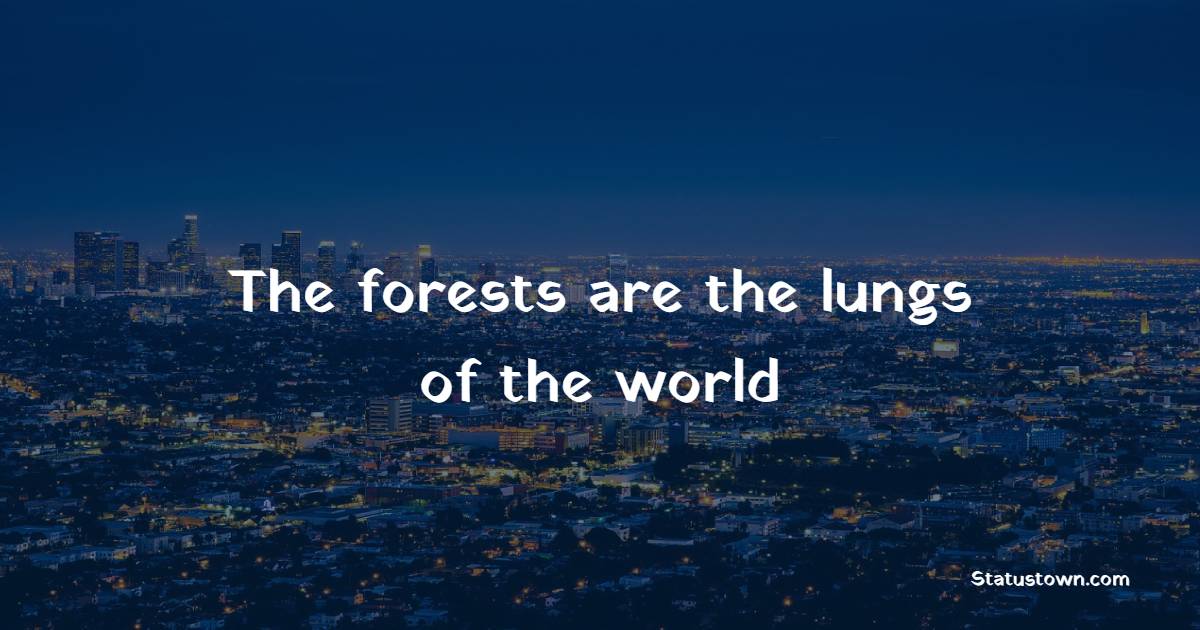 The forests are the lungs of the world - Forest Quotes