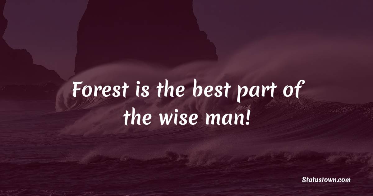 Forest is the best part of the wise man!