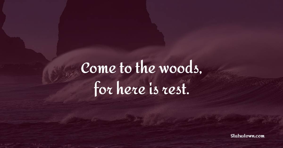 Come to the woods, for here is rest. - Forest Quotes