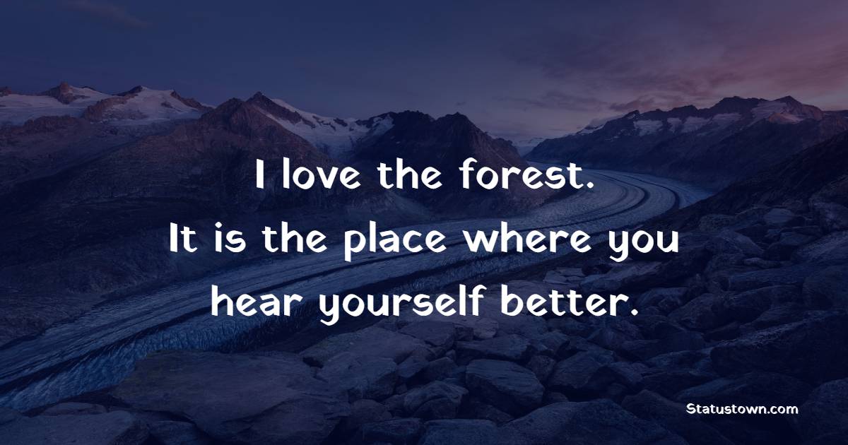 I love the forest. It is the place where you hear yourself better. - Forest Quotes