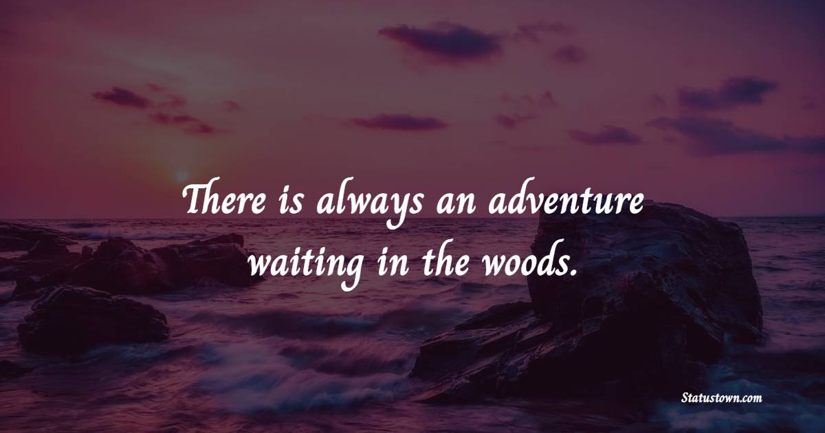There is always an adventure waiting in the woods. - Forest Quotes