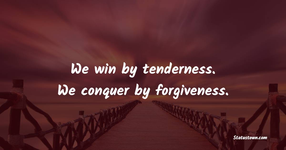 We win by tenderness. We conquer by forgiveness. - Fate Quotes 
