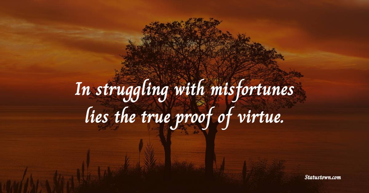 In struggling with misfortunes lies the true proof of virtue. - Fortitude Quotes 