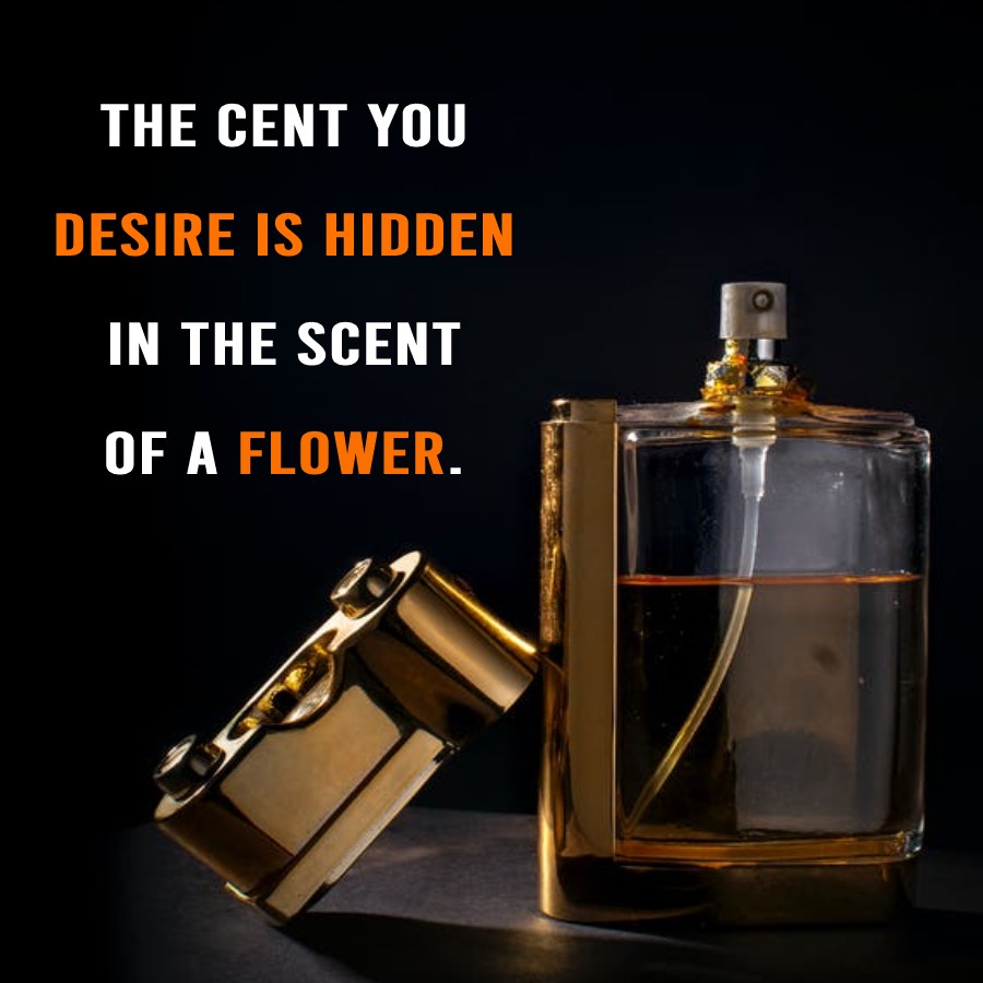 Best fragrance quotes