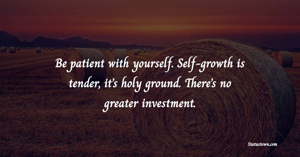 Be patient with yourself. Self-growth is tender, it’s holy ground. There’s no greater investment. - Freelancers Quotes 