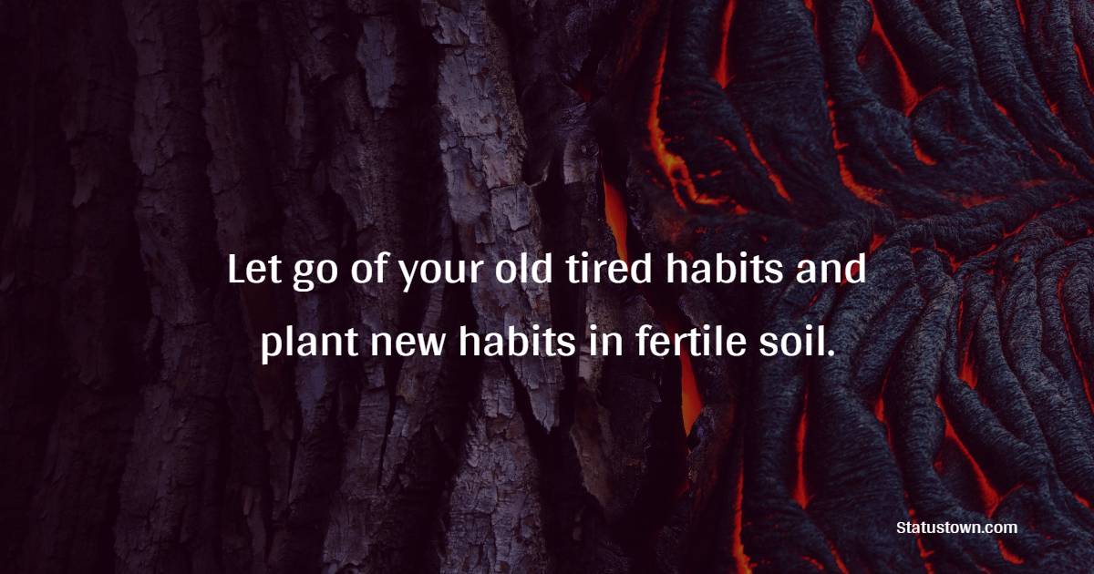 Let go of your old tired habits and plant new habits in fertile soil. - Habits Quotes 