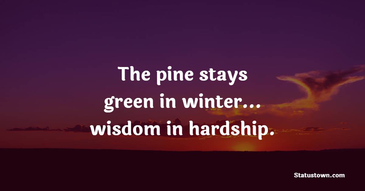 The pine stays green in winter… wisdom in hardship. - Hardship Quotes 