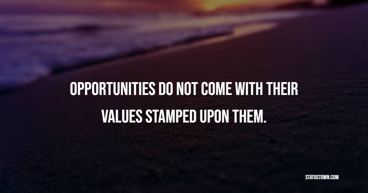 Opportunities do not come with their values stamped upon them. - Hardship Quotes 