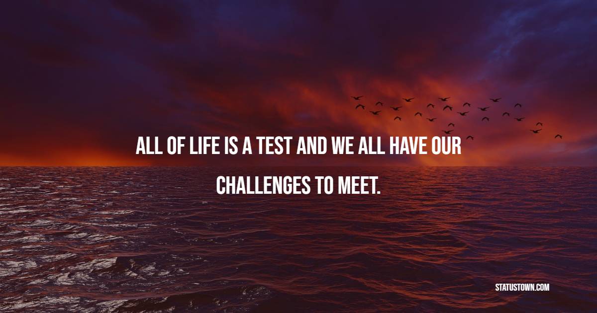 All of life is a test and we all have our challenges to meet. - Hardship Quotes 