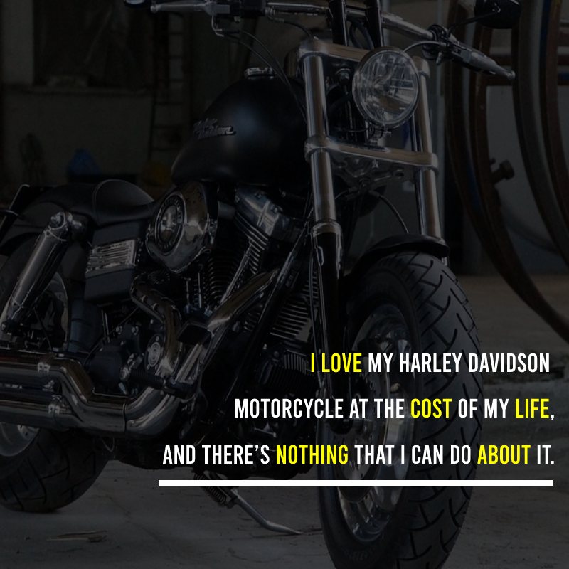 I love my Harley Davidson motorcycle at the cost of my life, and there’s nothing that I can do about it. - Harley Davidson Status 